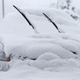 Illustration for article titled Police Ticketed And Towed A Snow-Covered Car With A Dead Body Inside